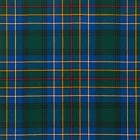 Reiver Light Weight Tartan Fabric - Cockburn Modern